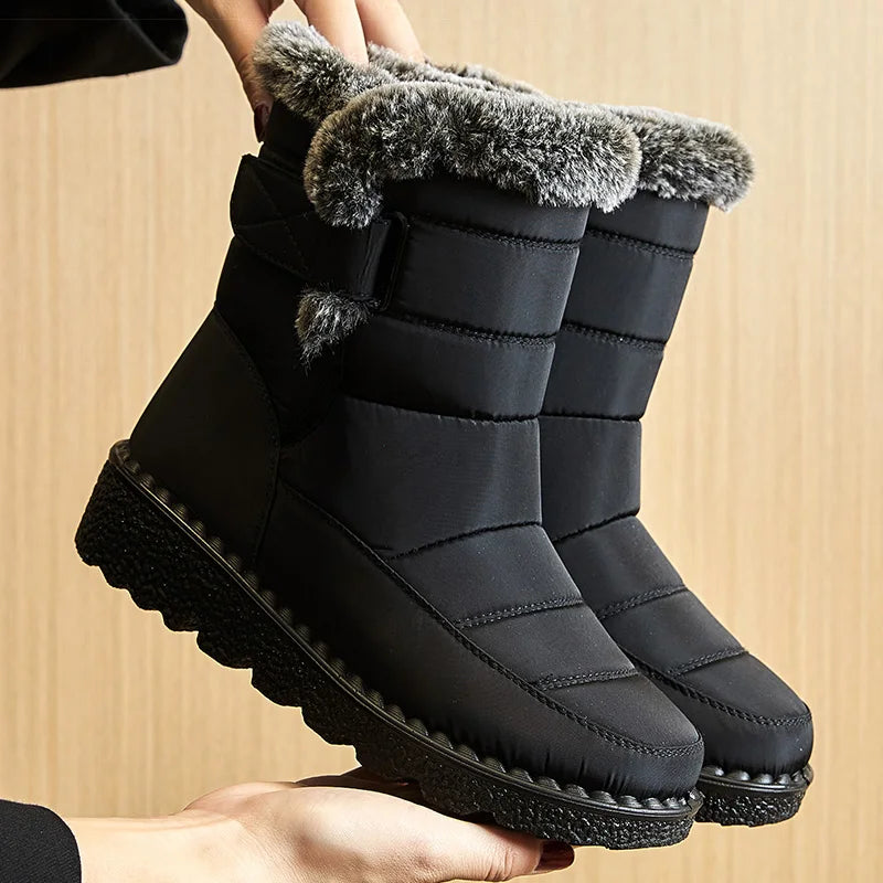 Women's Boots
